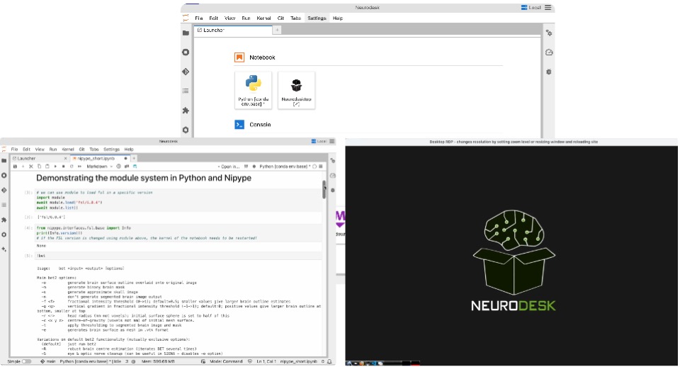 Neurodesk overview placeholder